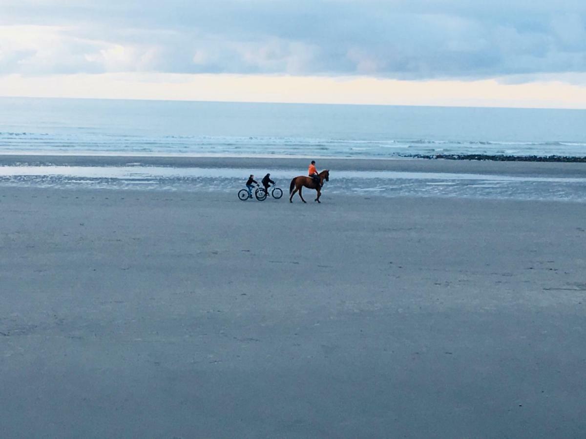 Studio " Escale En Bord De Mer " Wimereux Exteriör bild